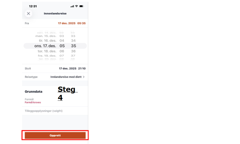Skjermbilde.